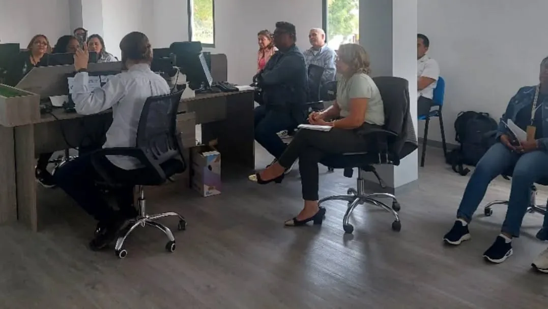Formación 11